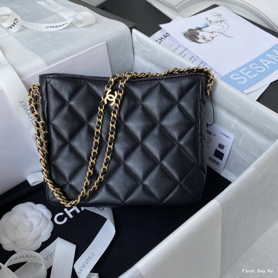 First Bag Ru CHANEL BAG SMALL HOBO 0809